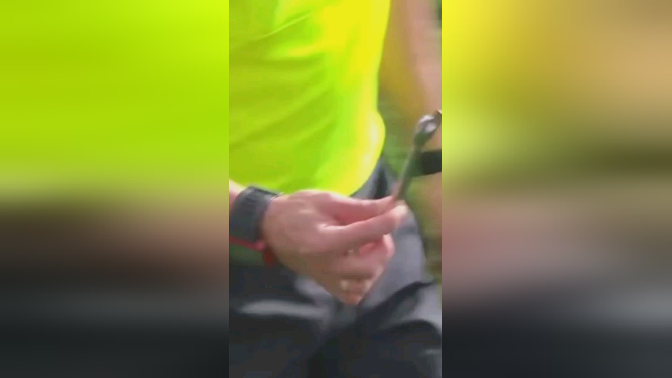 是看重他在